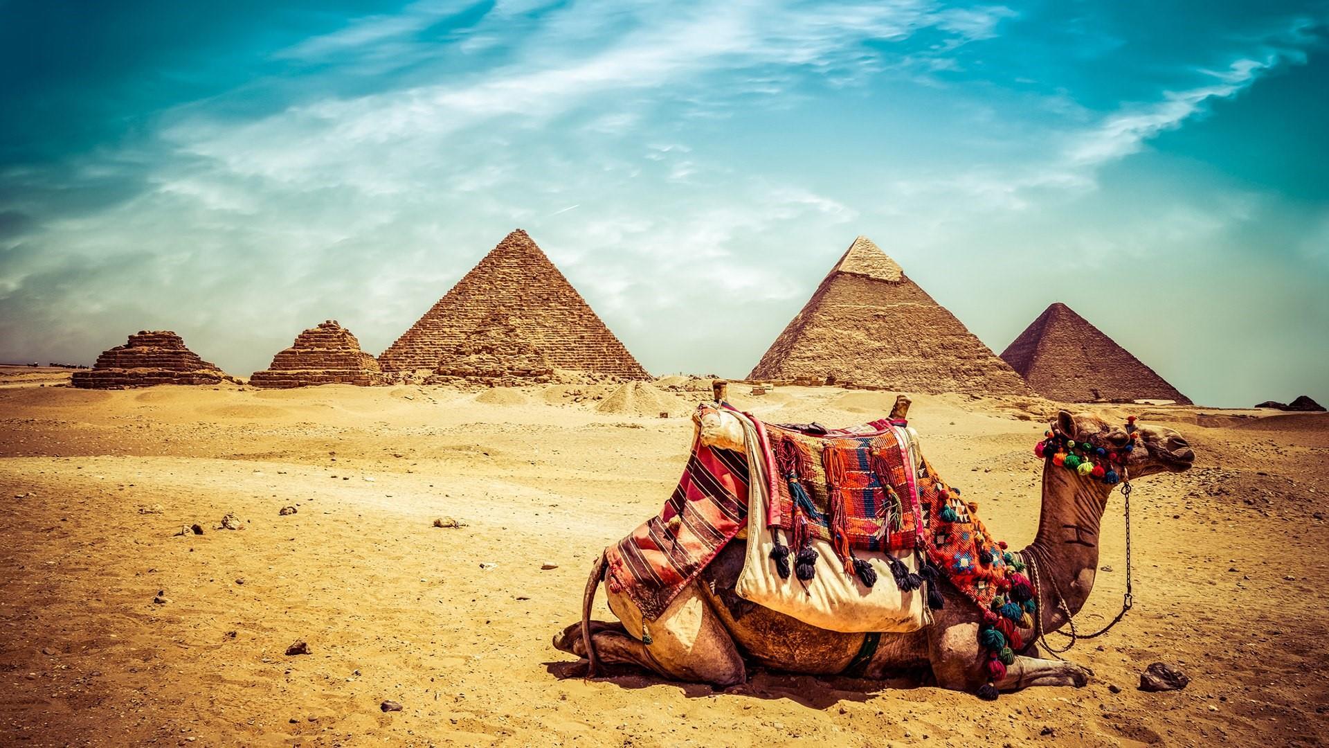 Egypt Discovery